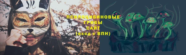 гашик Абаза