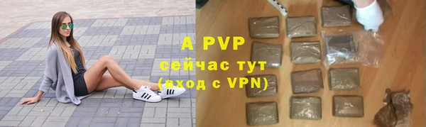 гашик Абаза
