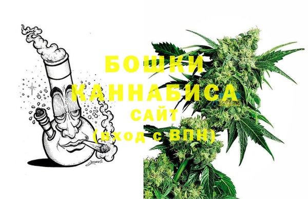гашик Абаза